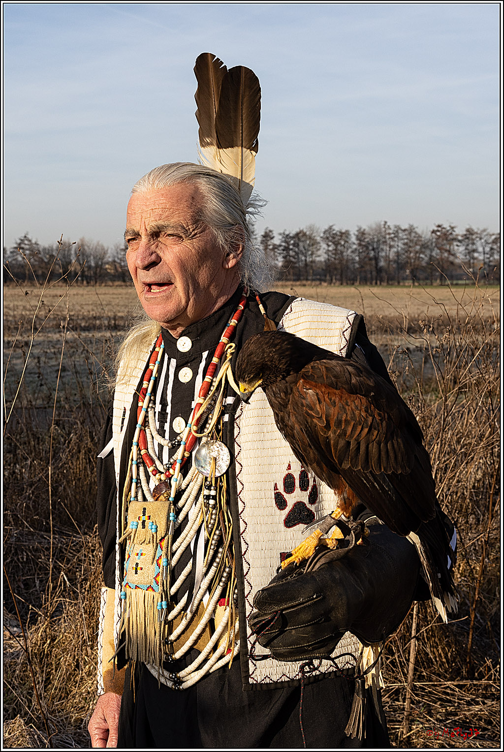 Cheyenne-Halbblut Hunting Wolf in der Falknerei Pierre Schmidt; Gymnich, 09.02.2023